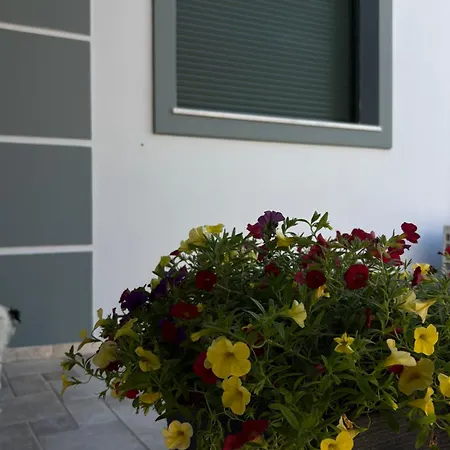 Vila Mavitaplace Familia, Pool & Jacuzzi-whirlpool,